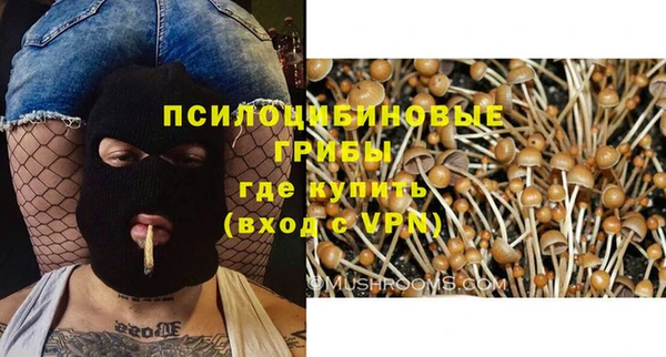 дмт Строитель